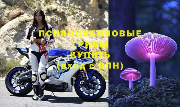 стафф Алзамай