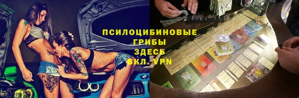 стафф Алзамай