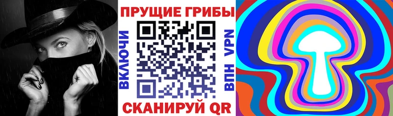 Галлюциногенные грибы Psilocybine cubensis Белгород