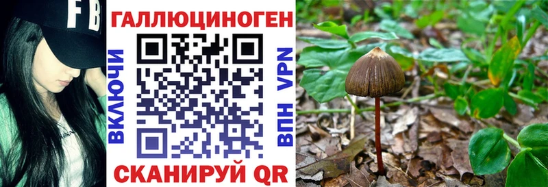 Псилоцибиновые грибы Psilocybe  Белгород 