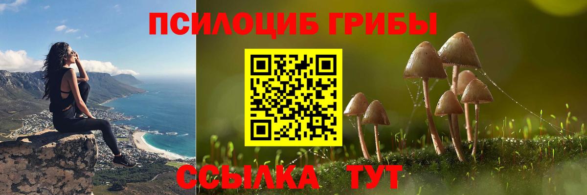 Белгород  Псилоцибиновые грибы MAGIC MUSHROOMS  Вход с VPN 